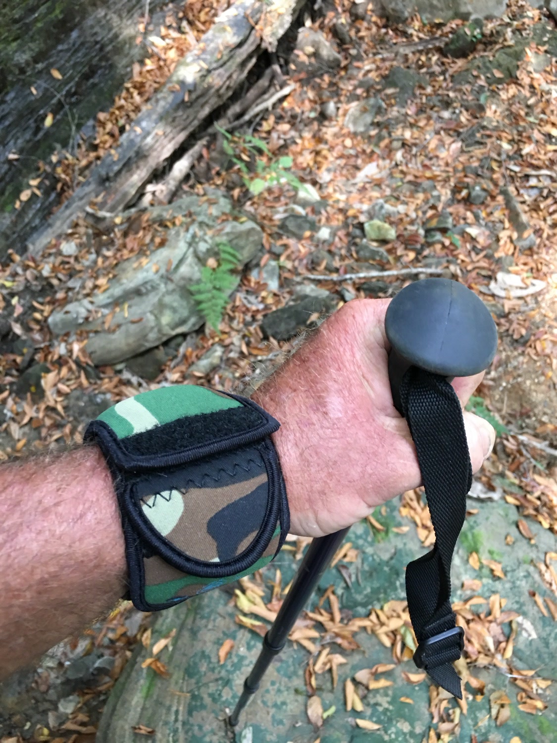 Camo WATCH-ET on a hike